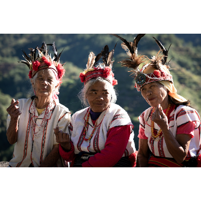 Statistical Process Control for Quality and Safety icon