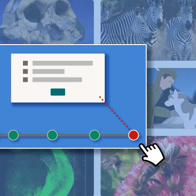 Interactive Video Builder