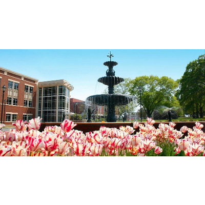 Proper Patient Care icon