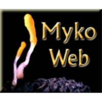 Mykoweb