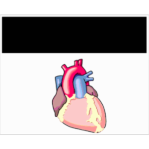 Ventricular Arrhythmias icon