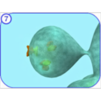 Protein Modification icon