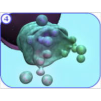 Protein Trafficking icon