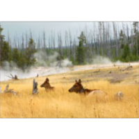 Review: The Habitable Planet