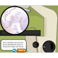 Using the Microscope icon