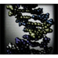 UCLA Molecular Biology Tutorials icon