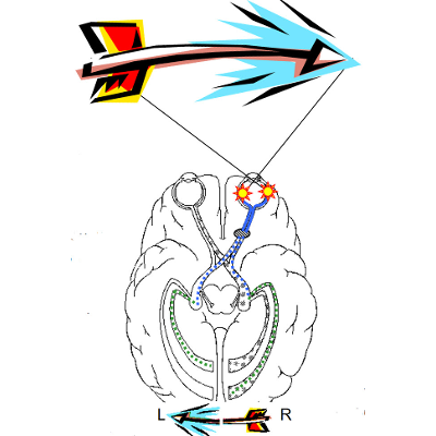 Central Visual Pathway icon