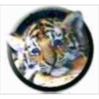 Chinese Online Dictionary icon