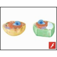 Eukaryotic Organelles icon