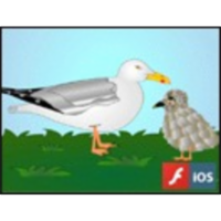 Simple Stimuli Trigger Fixed Behaviors