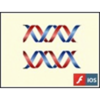 The Meselson-Stahl Experiment