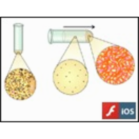 Cell Fractionation icon