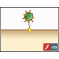 Influenza Virus Entry into a Cell