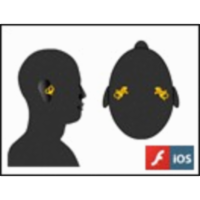 The Vestibular System icon