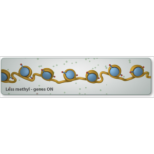 Gene Control icon