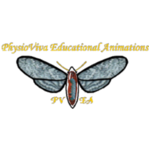 Insect Biochemistry and Physiology