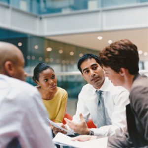 Understanding Organizations as Learning Systems icon