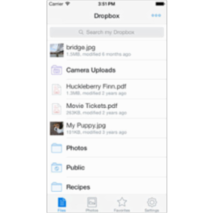 Dropbox App for iOS icon