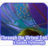 Virtual Cell Animations icon