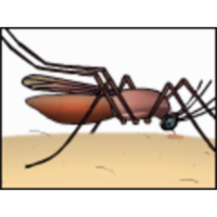 Malaria: Cooperation among Parasite, Vector, and Host
