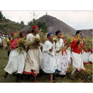 Africa Focus: Sights and Sounds of a Continent icon