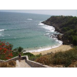 Waves: An interactive Tutorial icon