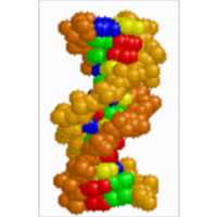 BioMolecular Explorer 3D (BME3D) icon