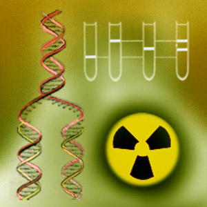 DNA Replication (Semiconservative Replication) icon