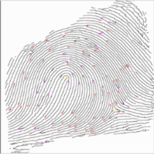 Level 1, 2 and 3 Details...a thumbnail explanation of terms.