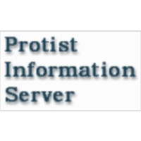 Protist Information Server
