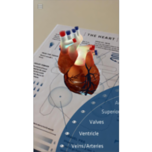 Anatomy 4D App for iOS