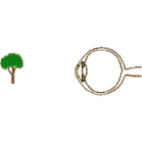 Anatomy, Physiology & Pathology of the Human Eye icon
