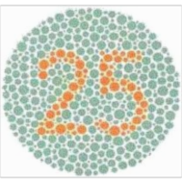 Pseudo-Isochromatic Plates/Color Vision Testing icon