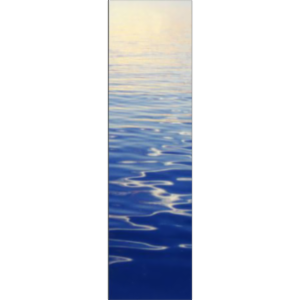 Water on the Web icon