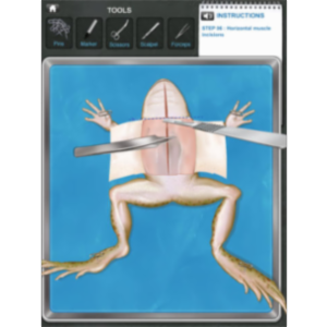 Frog Dissection App for Android icon