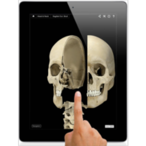 Skeleton System Pro III App for iPad icon