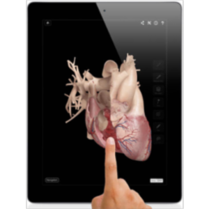 Heart Pro III App for iPad icon