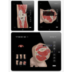 Elbow Pro III App for iPad icon