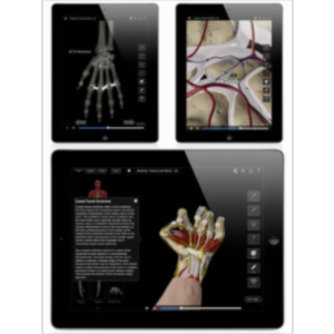 Hand and Wrist Pro III with Animations App for iPad icon