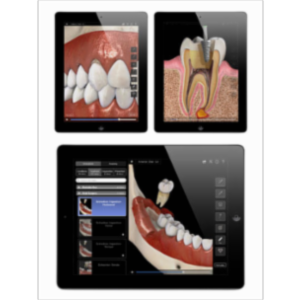 Dental Patient Education Lite App for iPad icon
