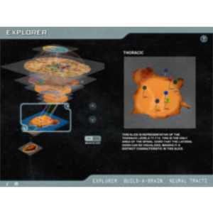 Build-A-Brain Explorer App for iPad icon