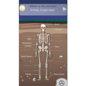 D Bones App for iOS