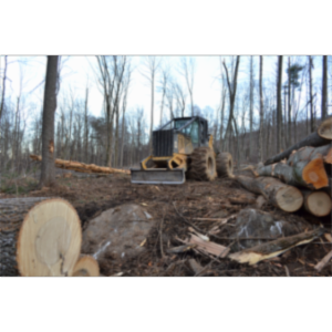 Global Forest Watch icon