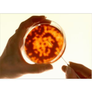 Animals in Research: Law, Policy, and Humane Sciences icon