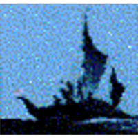 Plants in Hawaii icon