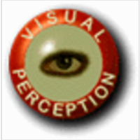 Visual Perception