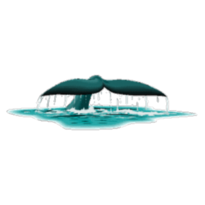 Cetus Links - Object-Orientation icon