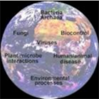 Microbial World icon