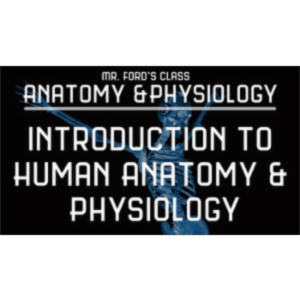 Intro to Human Anatomy and Physiology (w/exclusive videos) icon