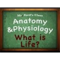 Introduction Anatomy Physiology (01:01): What Is Life? icon